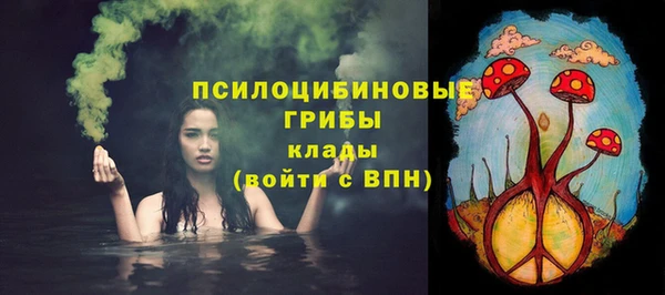 ГАЛЛЮЦИНОГЕННЫЕ ГРИБЫ Осташков