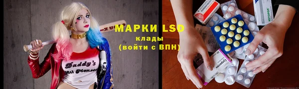 ГАЛЛЮЦИНОГЕННЫЕ ГРИБЫ Осташков