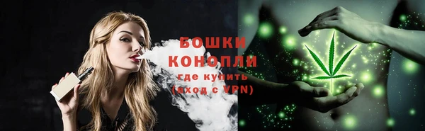 ГАЛЛЮЦИНОГЕННЫЕ ГРИБЫ Осташков