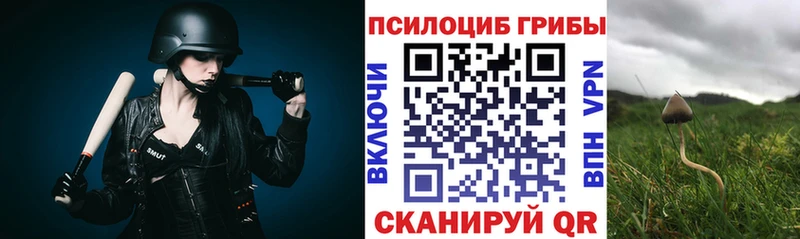 Галлюциногенные грибы Magic Shrooms Власиха
